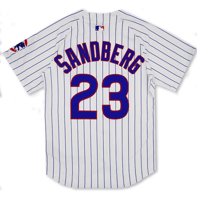 Mesh Retro Chicago Cubs Ryne Sandberg Jersey – Ivy Shop