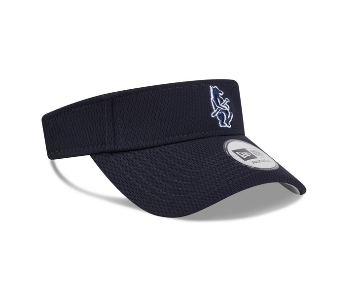 CAA CUB 1914 ST25 VISOR NAVY Ivy Shop