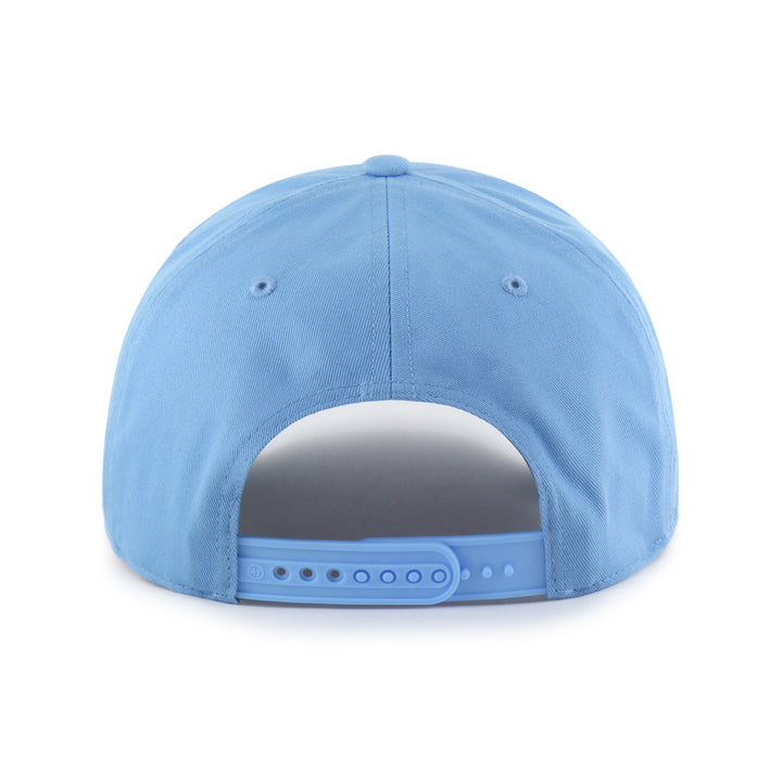 CAA CUB BLUES BEAR SCRIPT HITCH TWINS ENTERPRISE INC