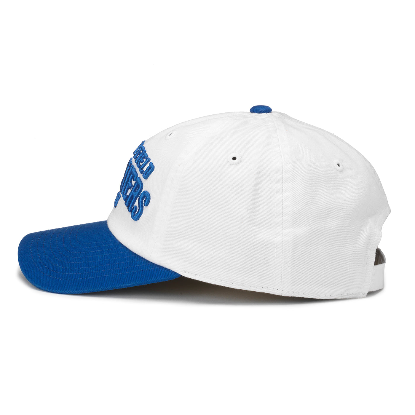 WRIGLEY FIELD AMERICAN NEEDLE BLEACHERS BLUE AND WHITE ADJUSTABLE CAP