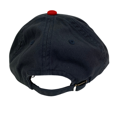 WRIGLEY FIELD AMERICAN NEEDLE EMBROIDERED BEAR ADJUSTABLE CAP