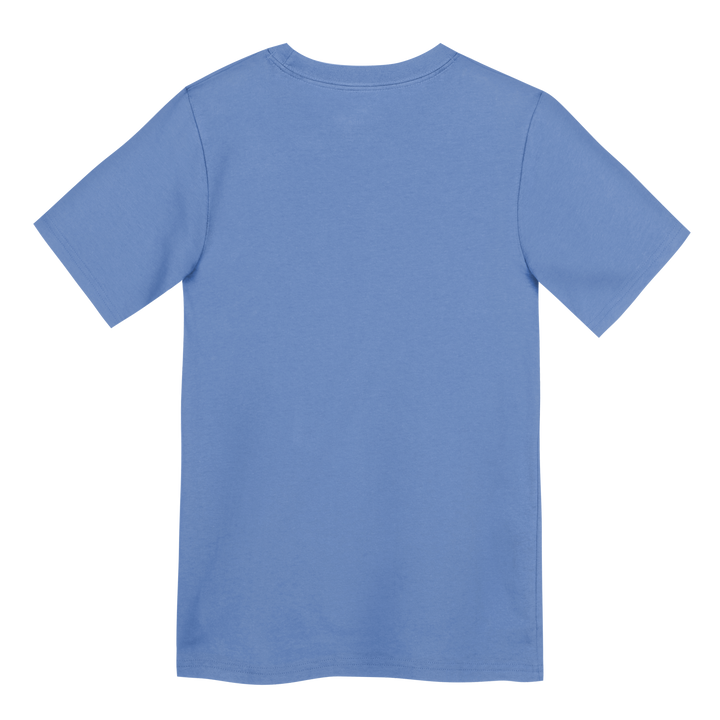 Chicago Cubs Blues Alternate Rock Bear Youth Tee (4–7) by Nike T-Shirt OUTERSTUFF LLC